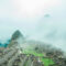 best-time-to-visit-machupicchu