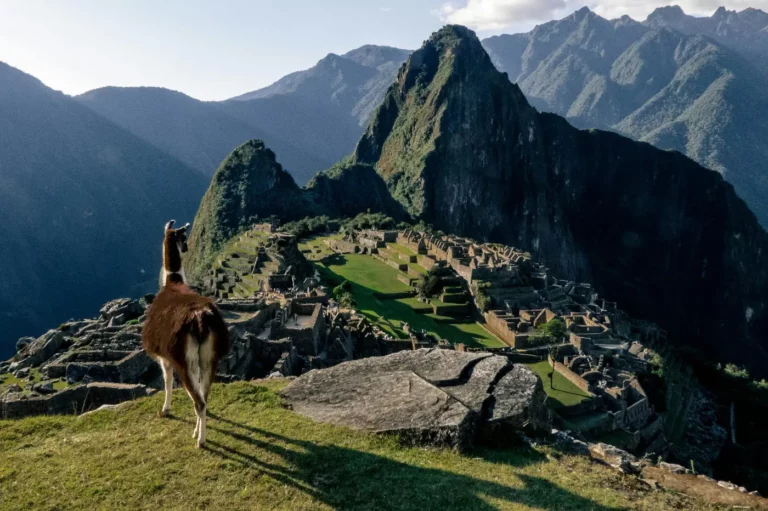 Machu Picchu Expedition