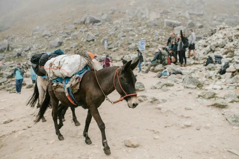 salcantay trek