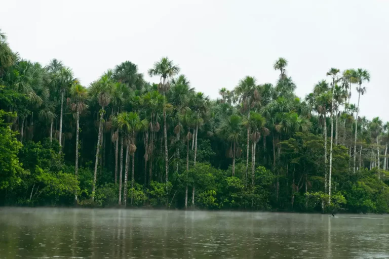 Tambopata Ecolodge